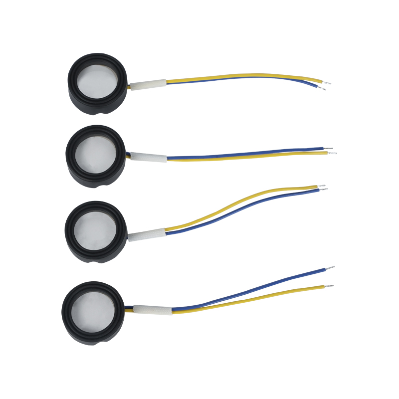 25mm1.7mhz Ultrasunete de înaltă frecvență Atomizare Baia de picioare Wigwam Cloud Mist Amenajare Cantitate mare de atomizare Traductor piezoelectric din ceramică Atomizor oscilant Putere mare 220v36w