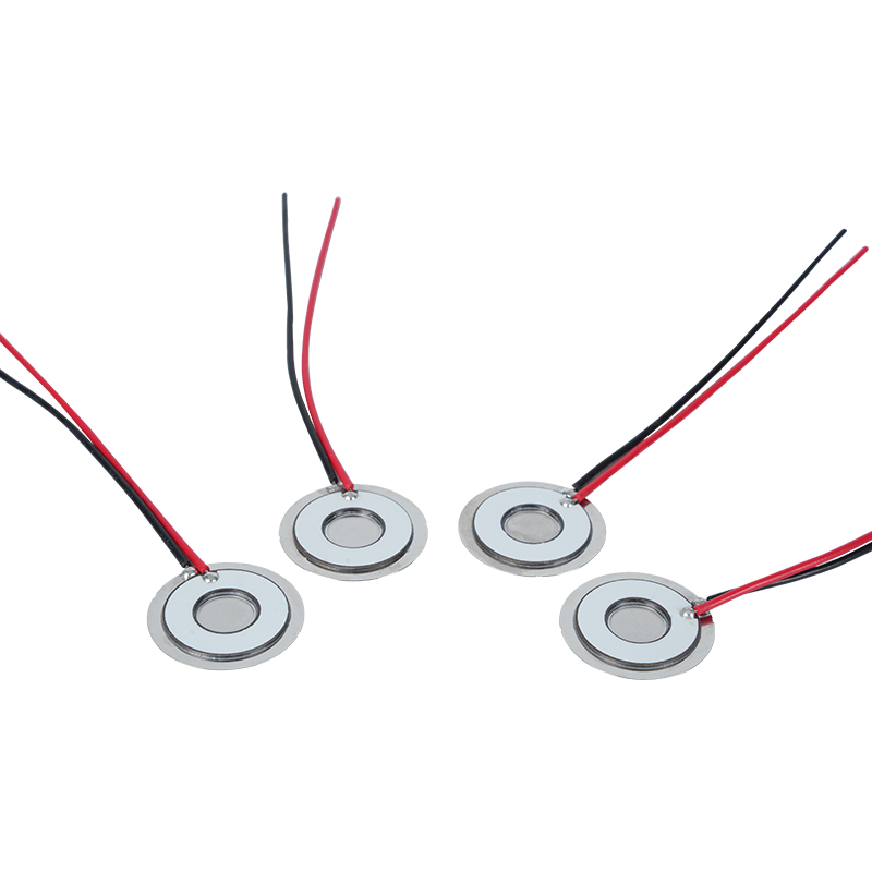 Φ20 Frecvența discului de atomizare 111khz304 din oțel inoxidabil Micro plasă Disc de atomizare Placă de atomizare Aer condiționat Chiller Frigider Plasă de umidificare proaspătă Placă de dispersie de atomizare Rată de atomizare> 800 ml/h